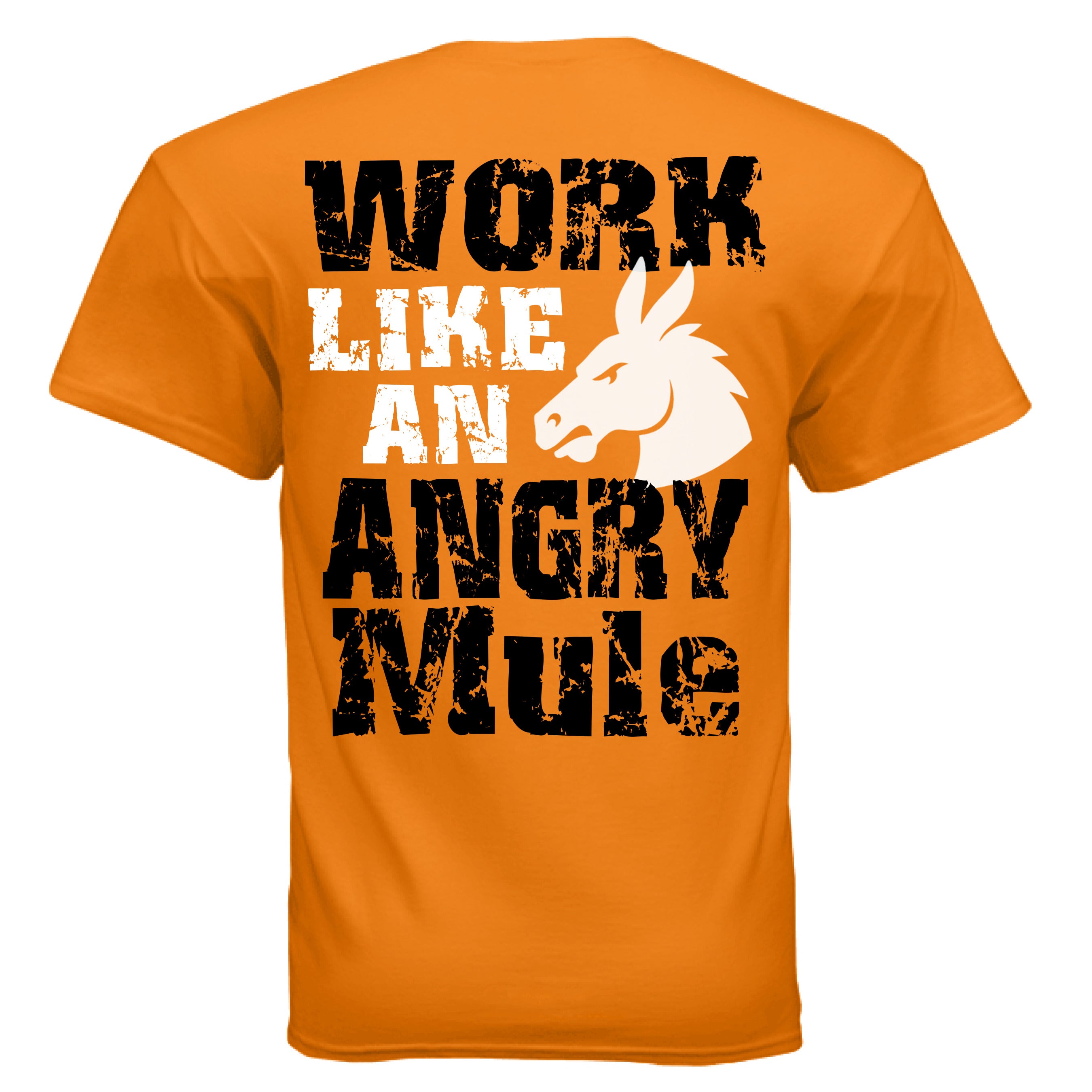 SAFETY ORANGE - BACK