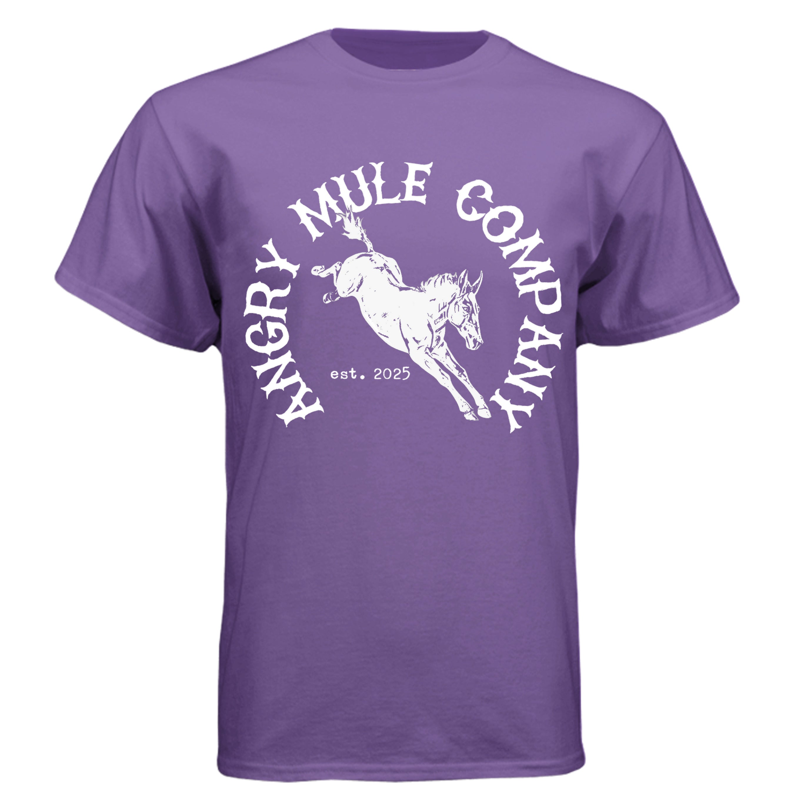 Purple Rush - N6210 - FRONT