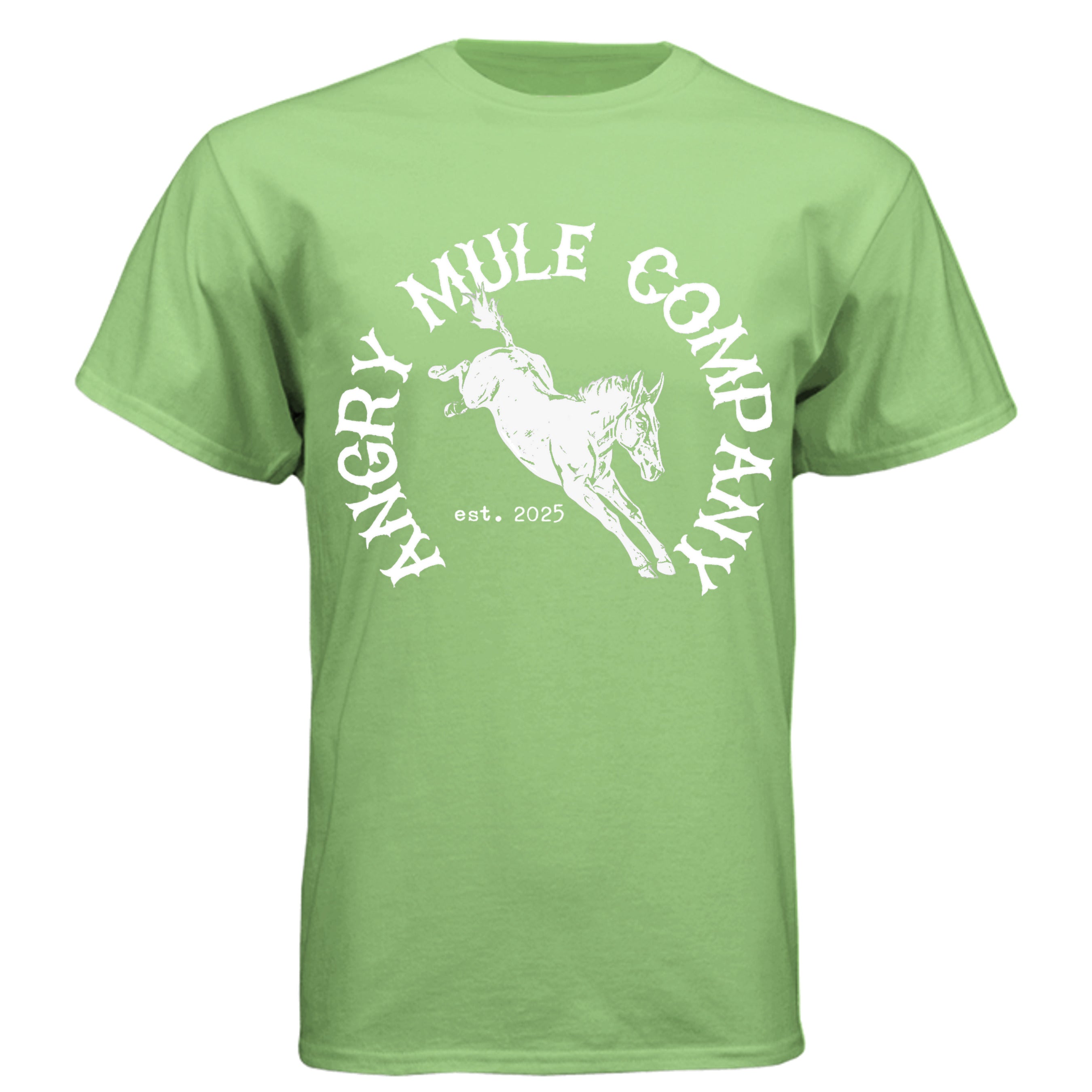 Apple Green - N6210 - FRONT