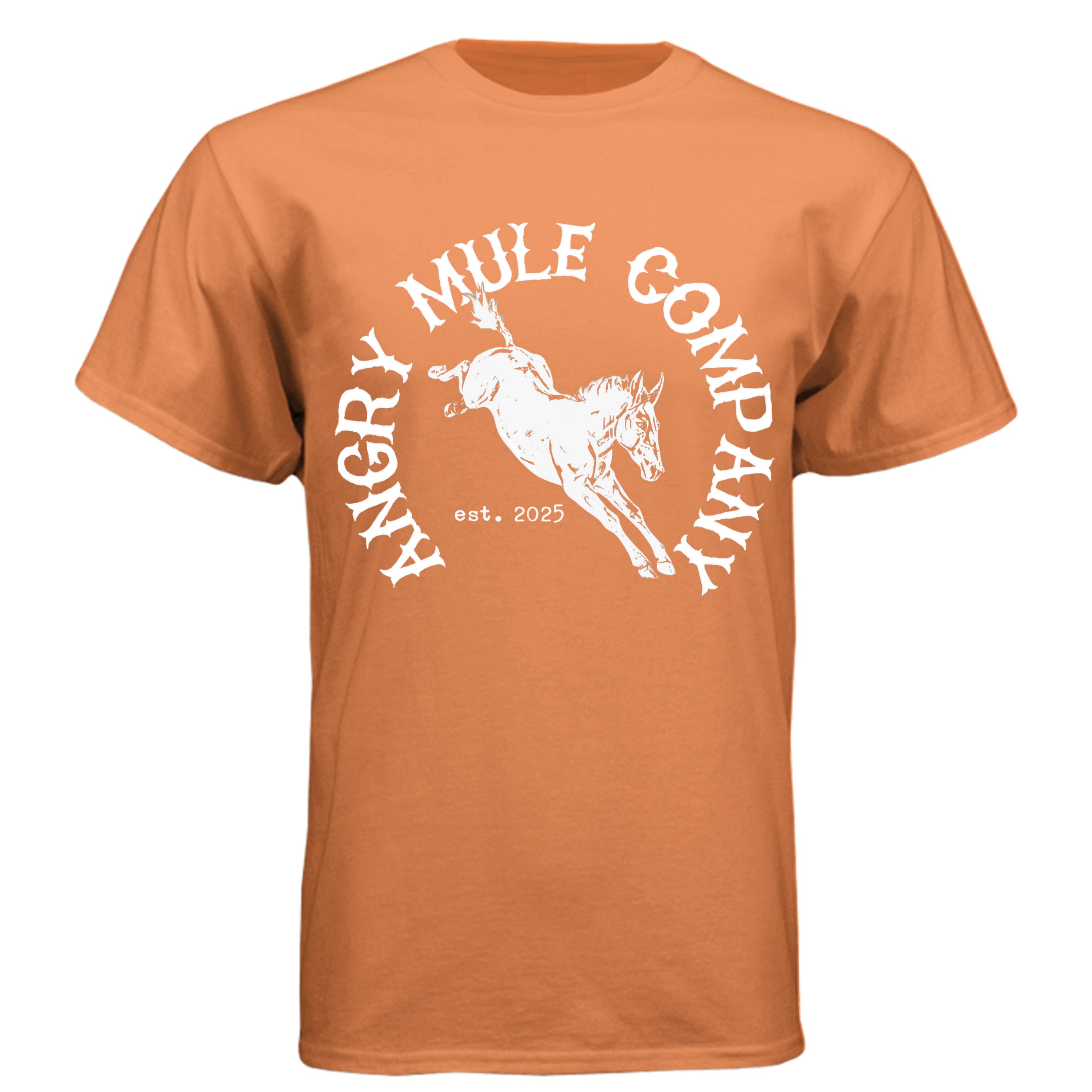 Orange - N6210 - FRONT