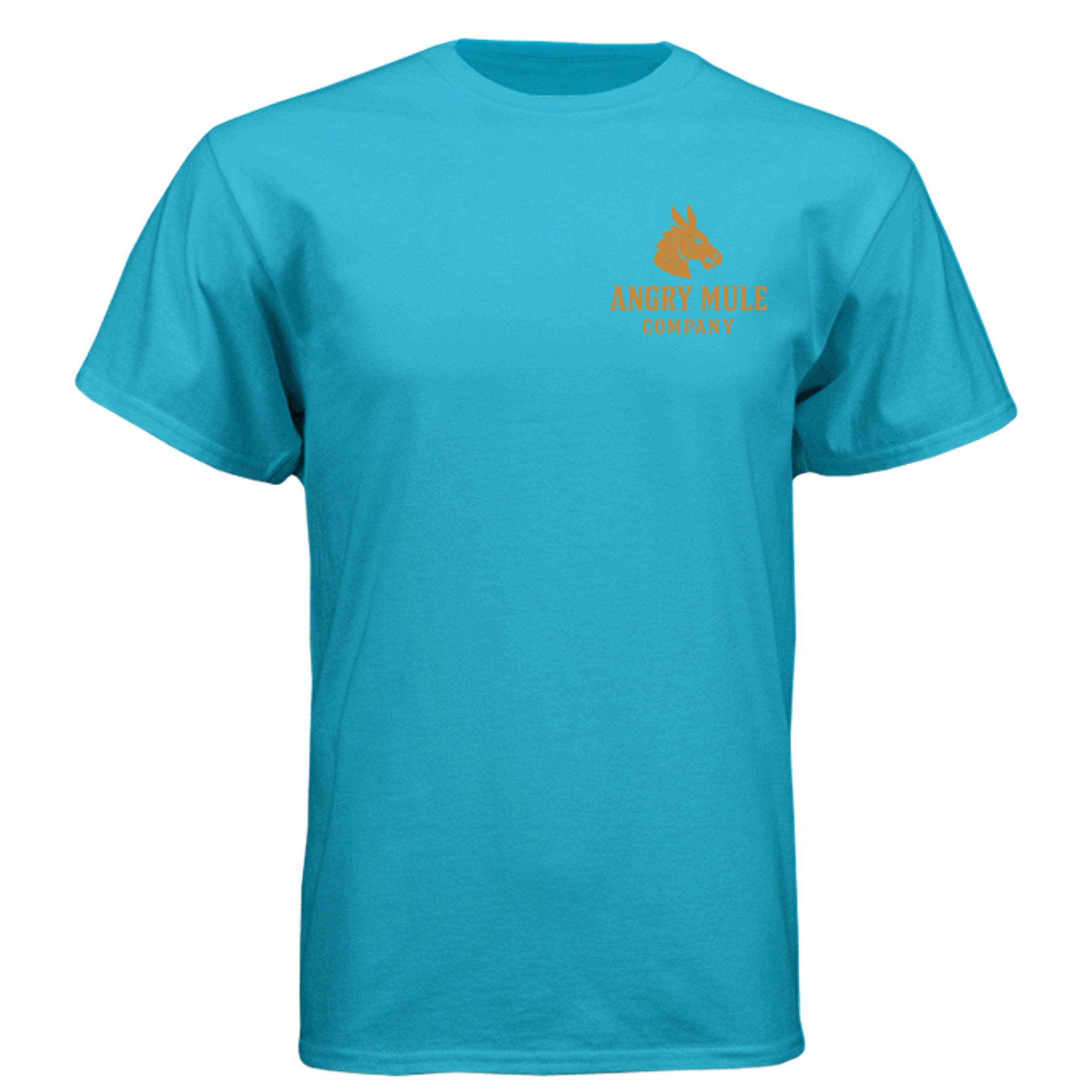 Bondi Blue - N6210 - FRONT