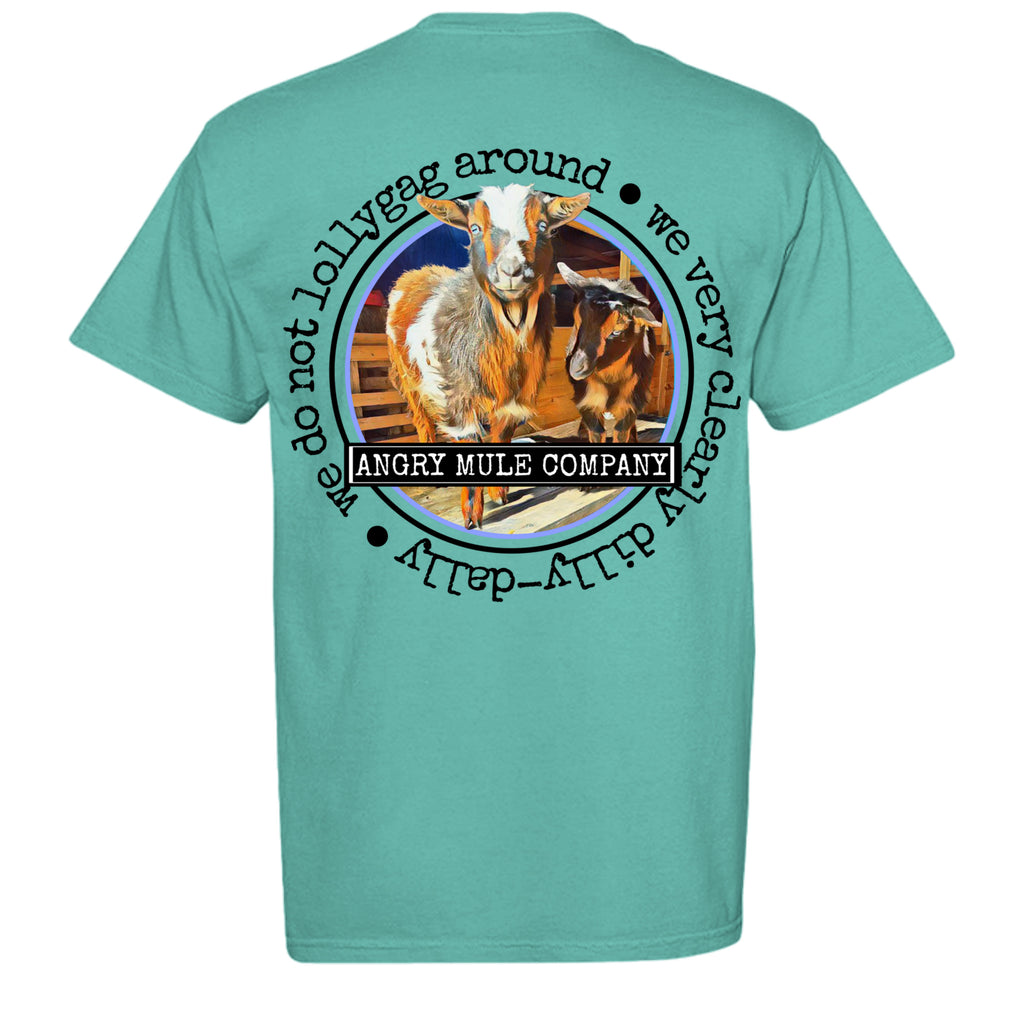 ISLAND REEF - C1717 - BACK
