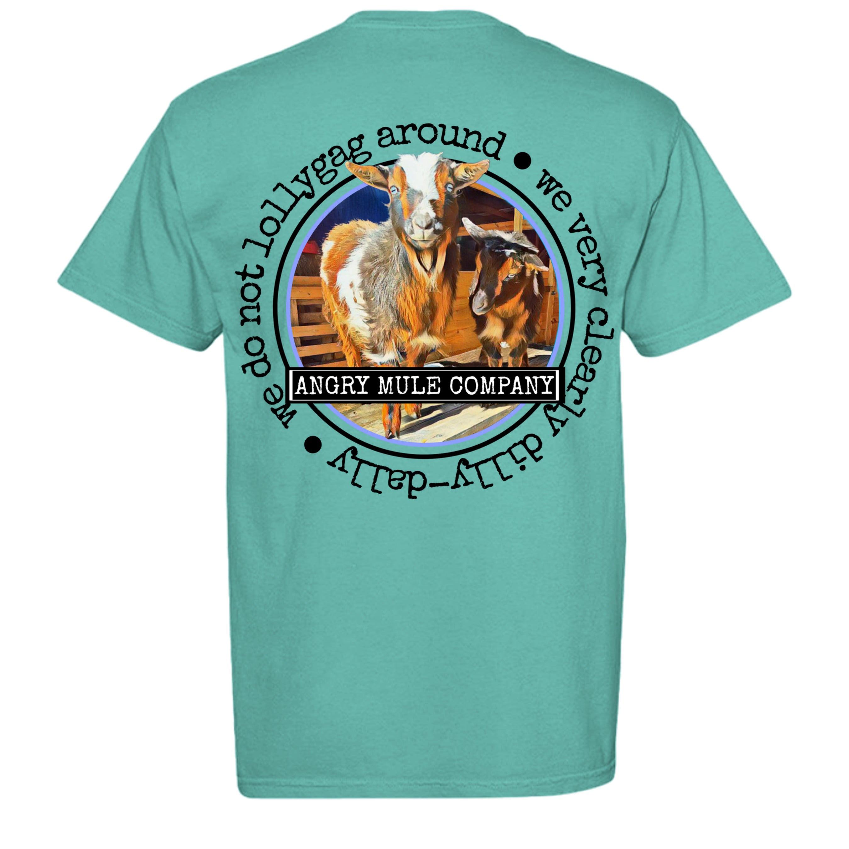 ISLAND REEF - C1717 - BACK