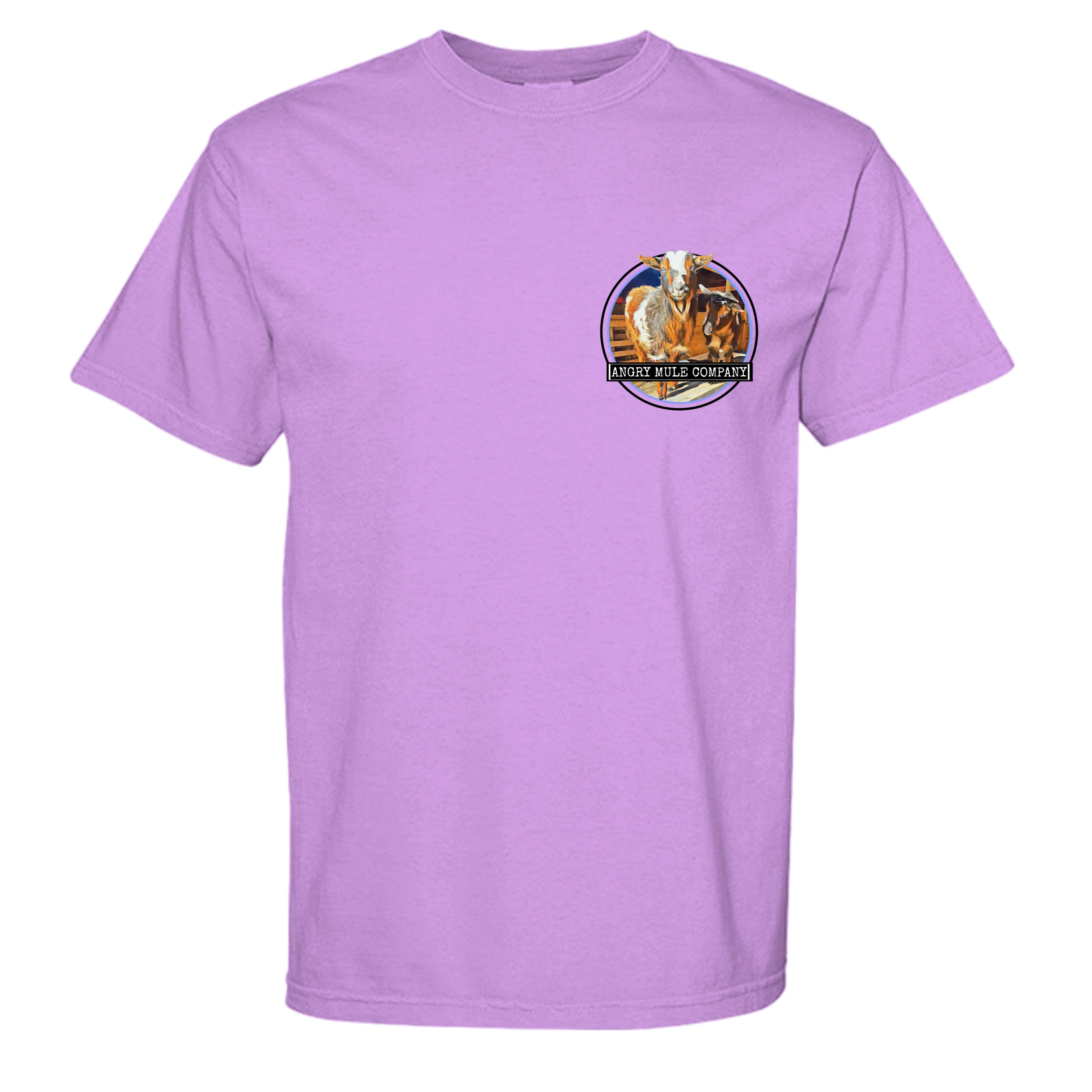 Neon Violet - C1717 - FRONT