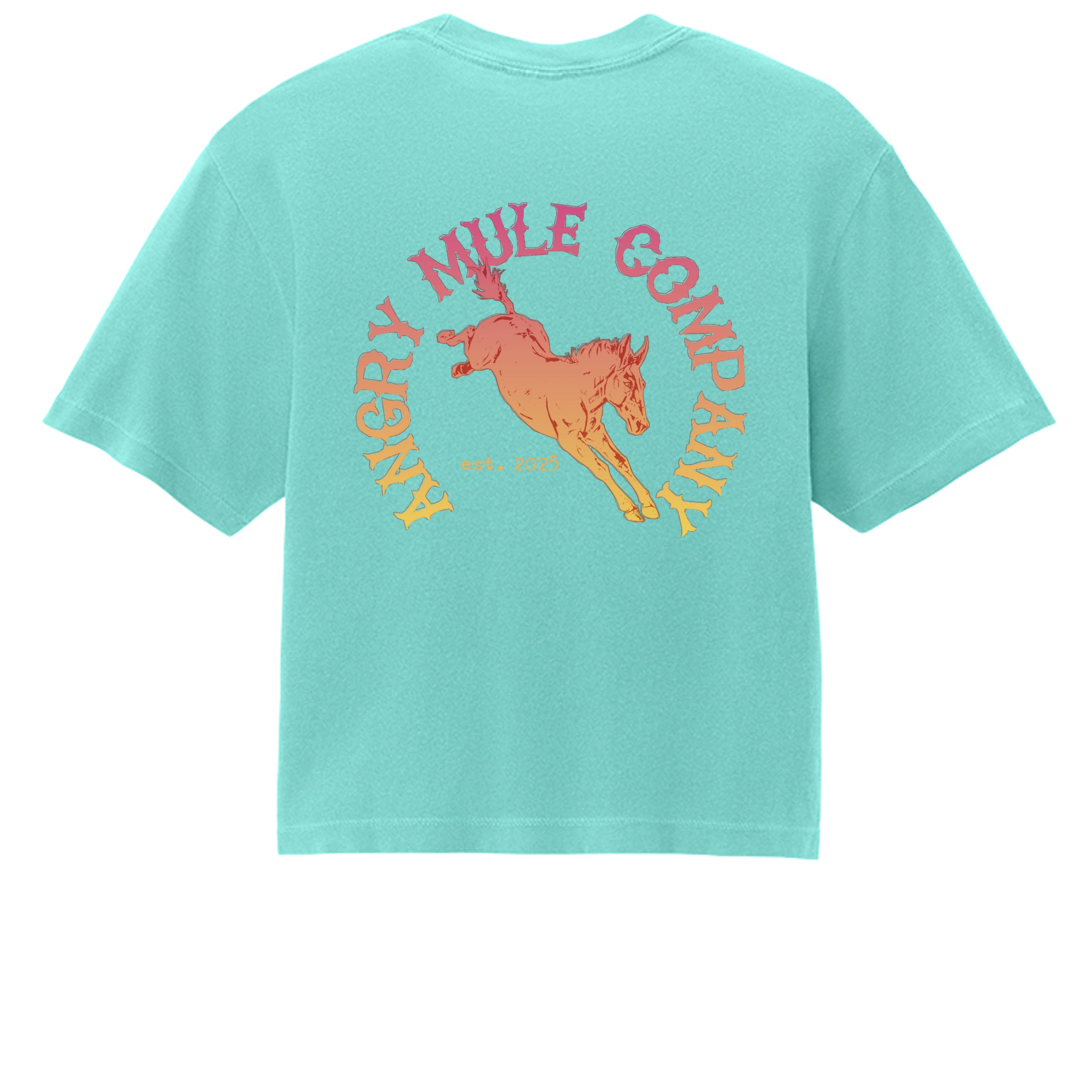 Chalky Mint - 3023CL - BACK