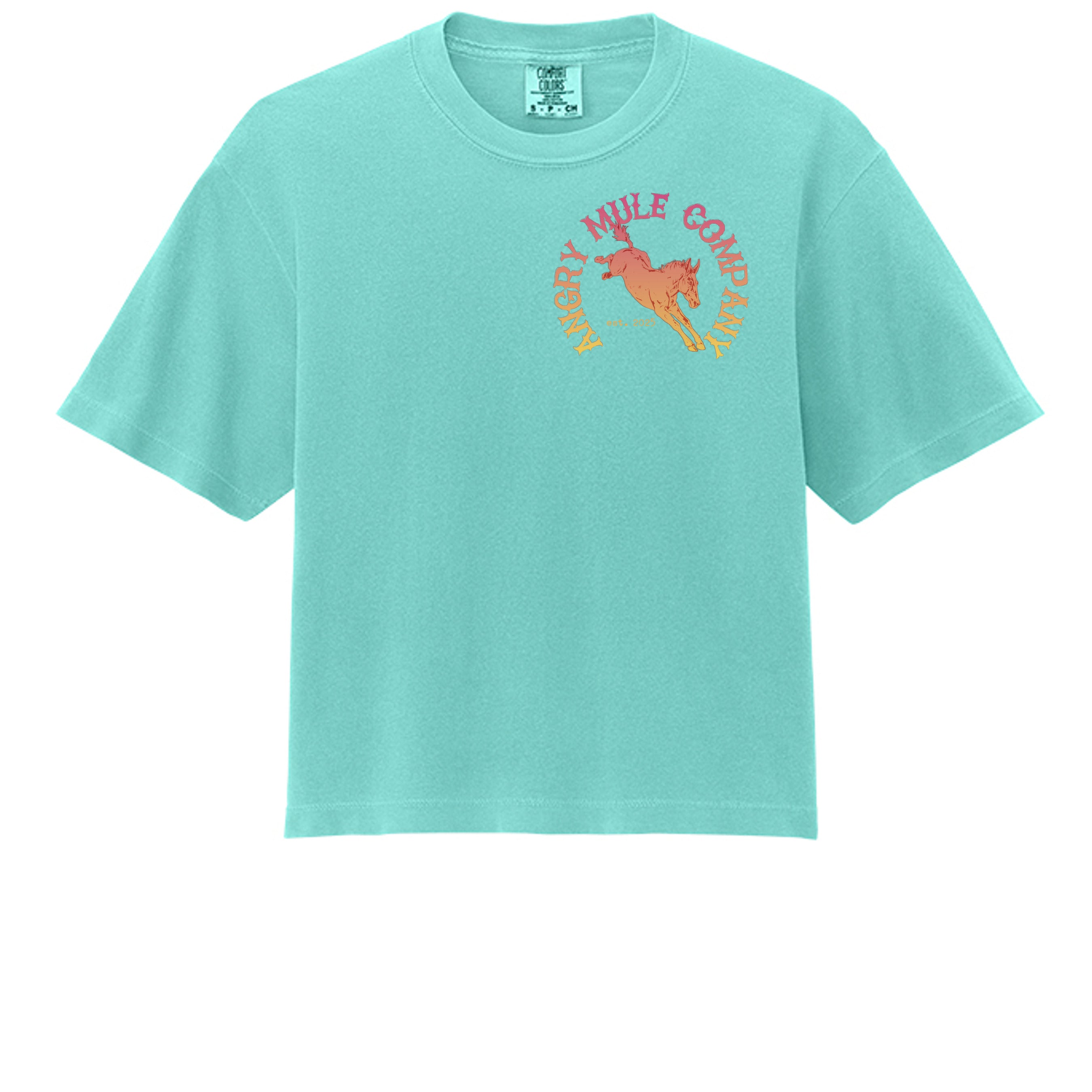 Chalky Mint - 3023CL - FRONT