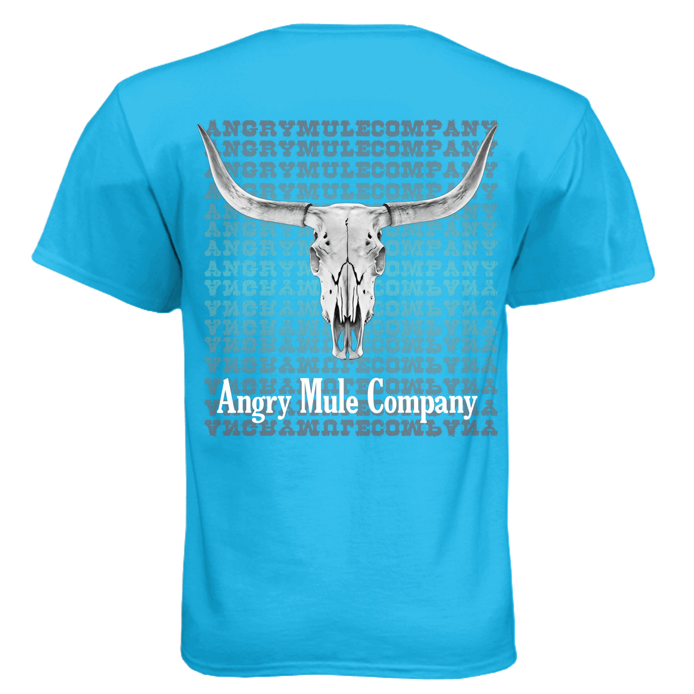 Turquoise - N6210 - BACK