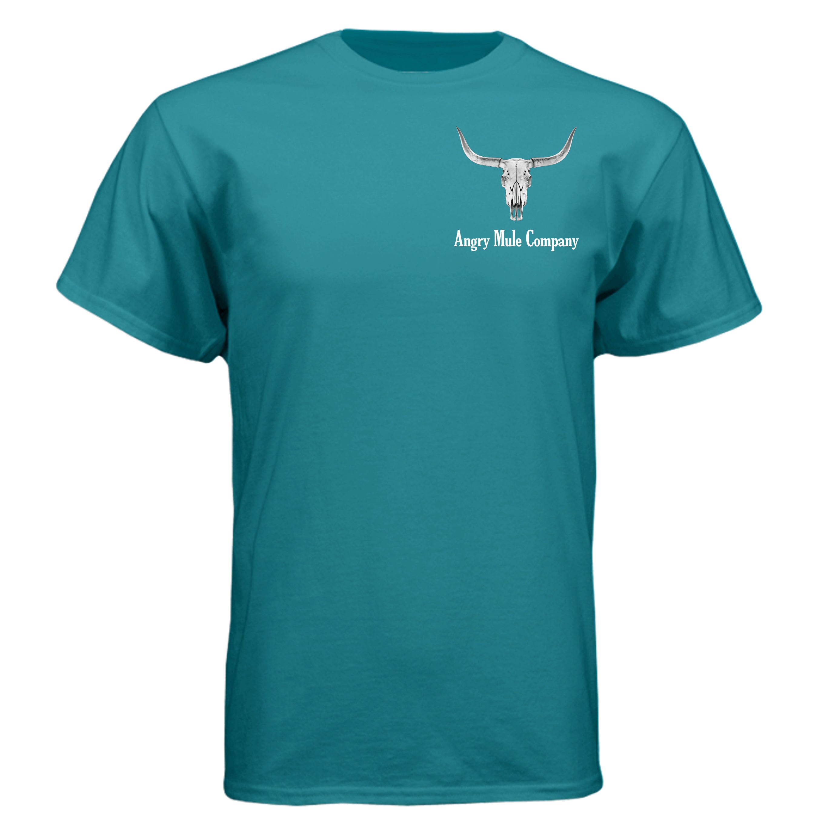 Teal - N6210 - FRONT