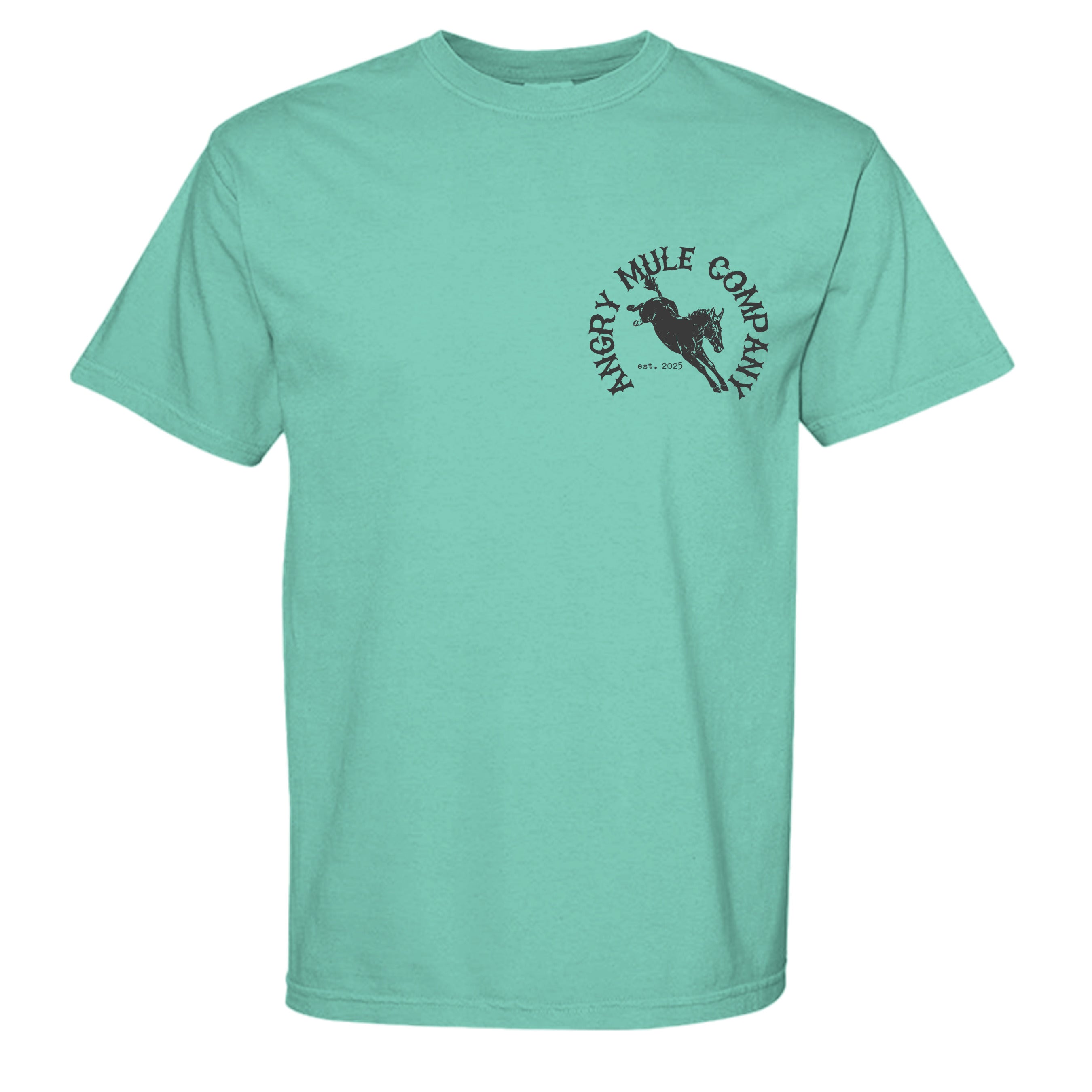 CHALKY MINT - C1717 - FRONT