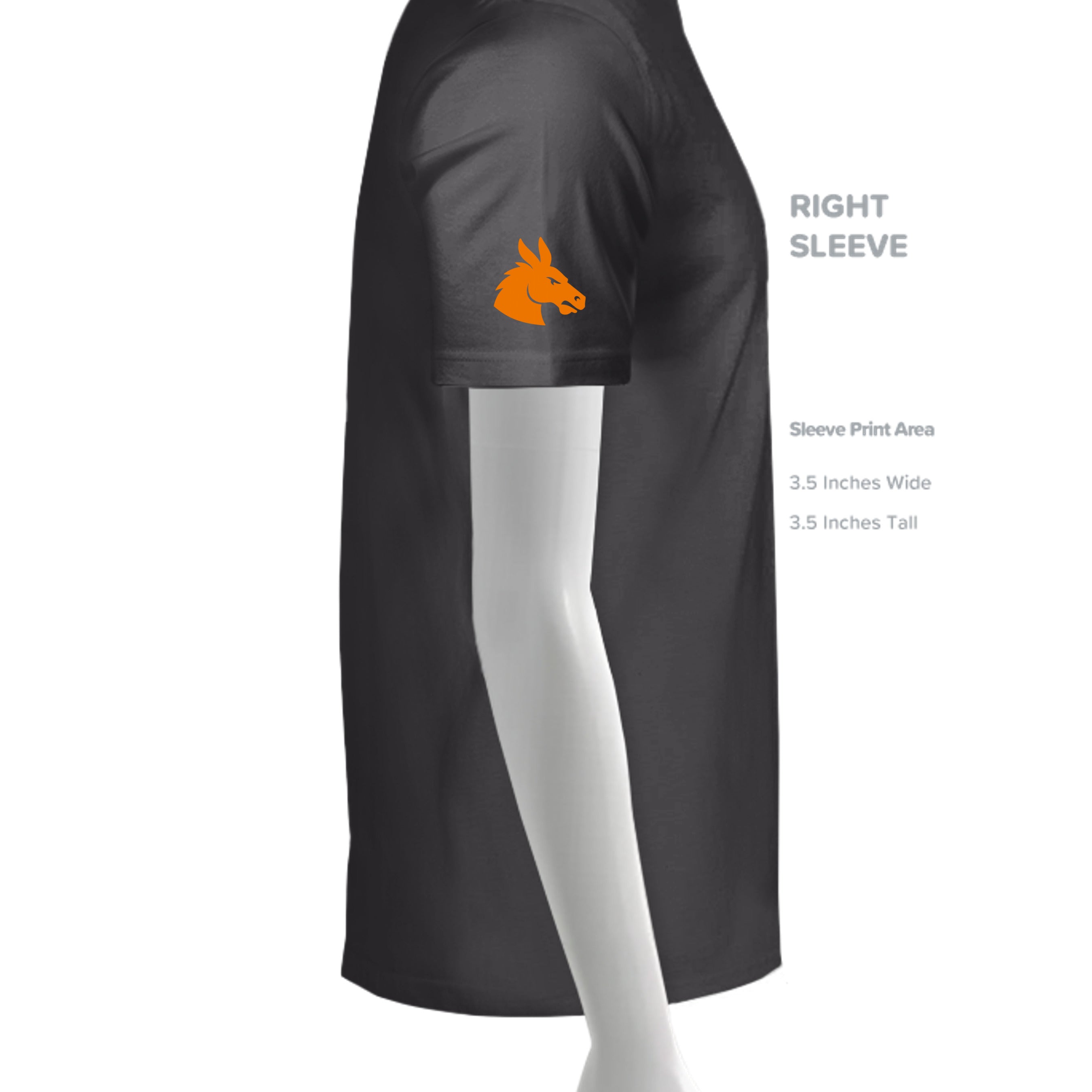 GRAPHITE - C1717 - SLEEVE_RIGHT