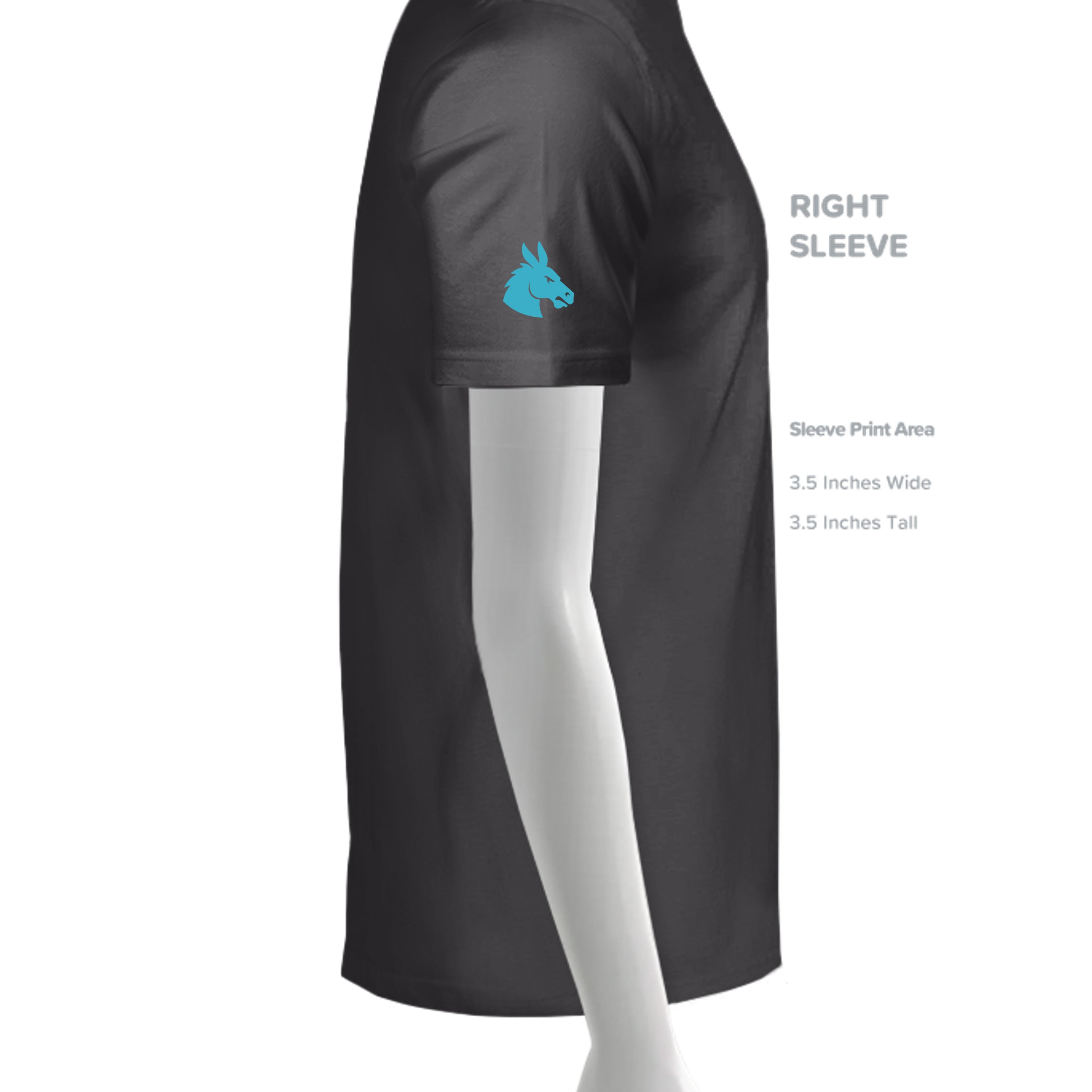 GRAPHITE - C1717 - SLEEVE_RIGHT